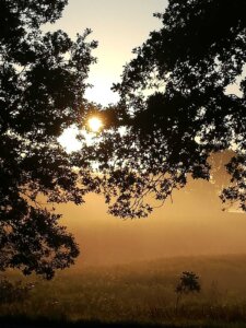 Bild: Sommer (Foto Credit: Pop-Himmel.de)