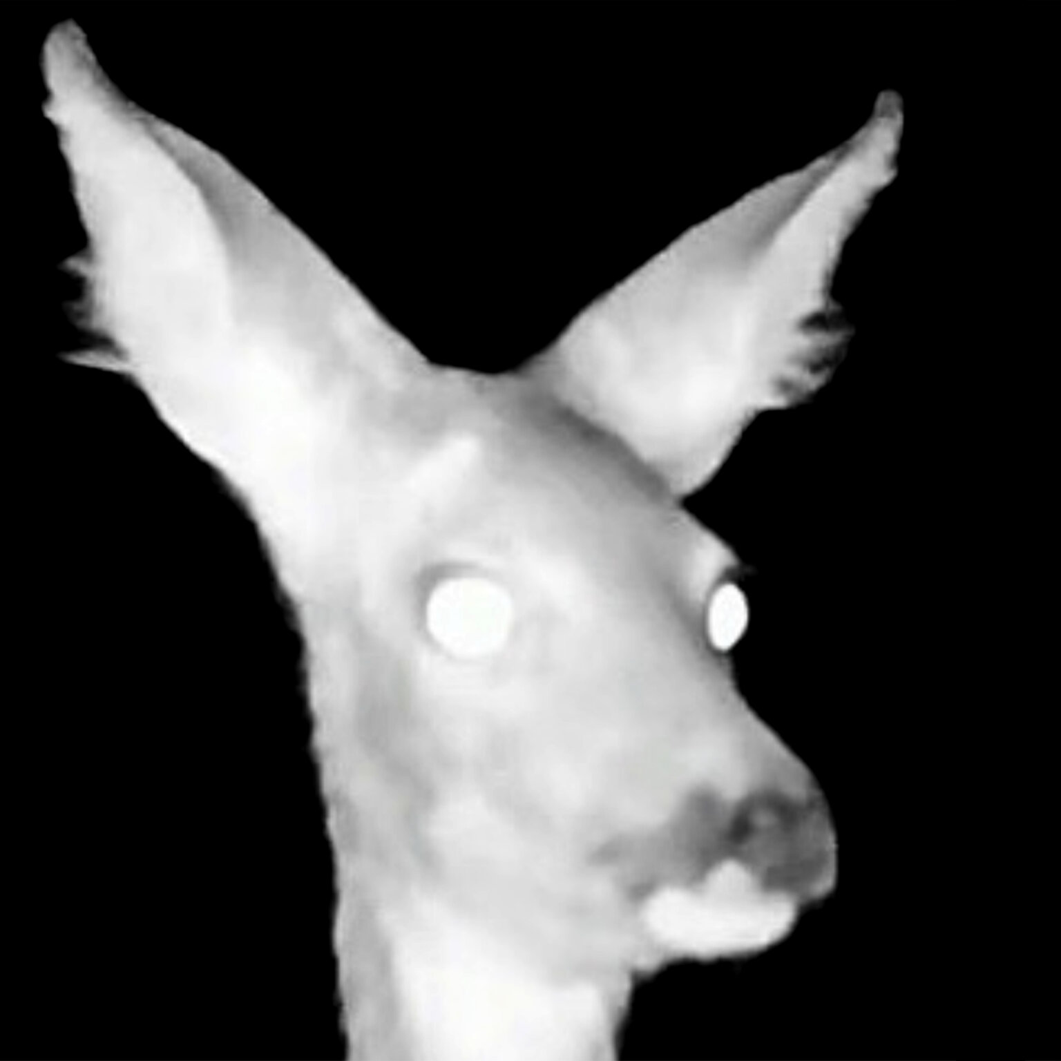 Deichkind "In der Natur" (Single + offizielles Video) POPHIMMEL.de