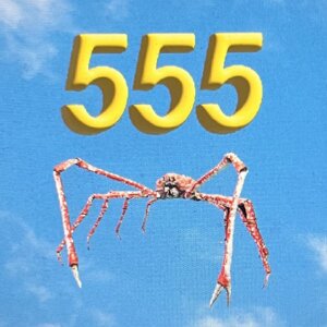 Noah Levi - "555" (Jive Germany/Sony Music)