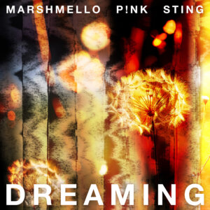 Marshmello x P!NK x Sting - "Dreaming" (Single - RCA Records/Sony Music)