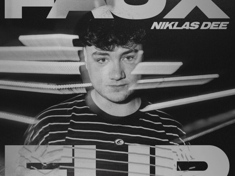 Niklas Dee – „Faux Fur (Like You Like It)“ (Single + offizielles Lyric Video)