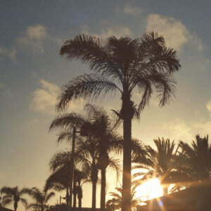 Philipp Poisel - "Postkarte" (Single - Grönland Records) 